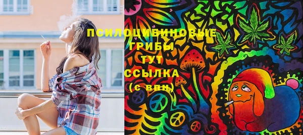 хмурый Заволжье